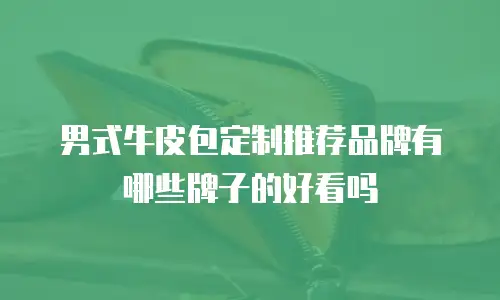 男式牛皮包定制推荐品牌有哪些牌子的好看吗