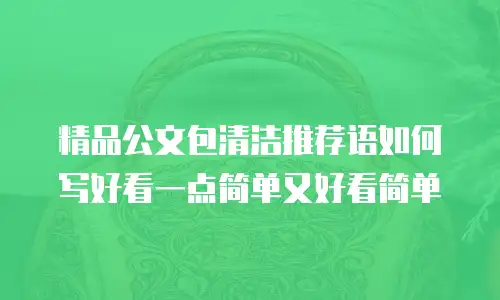 精品公文包清洁推荐语如何写好看一点简单又好看简单