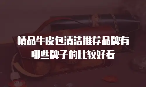 精品牛皮包清洁推荐品牌有哪些牌子的比较好看