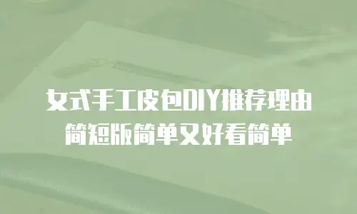 女式手工皮包DIY推荐理由简短版简单又好看简单