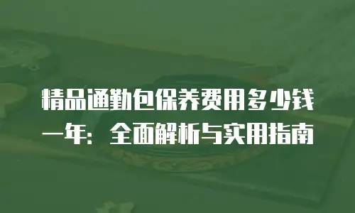 精品通勤包保养费用多少钱一年：全面解析与实用指南