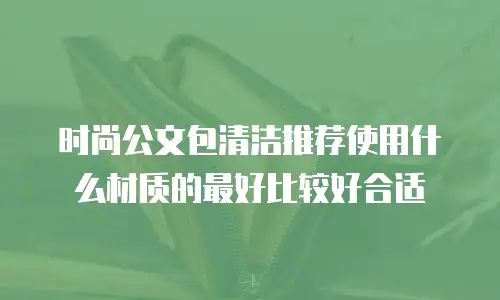 时尚公文包清洁推荐使用什么材质的最好比较好合适