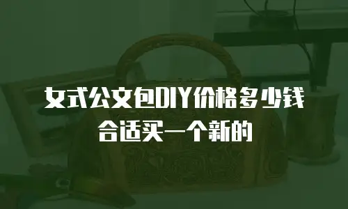 女式公文包DIY价格多少钱合适买一个新的