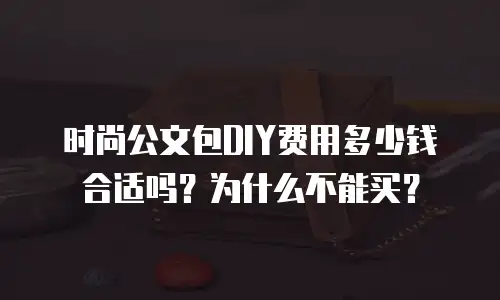 时尚公文包DIY费用多少钱合适吗？为什么不能买？