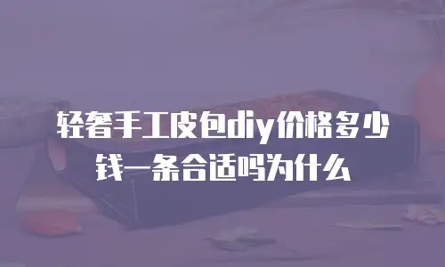 轻奢手工皮包diy价格多少钱一条合适吗为什么