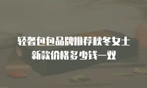 轻奢包包品牌推荐秋冬女士新款价格多少钱一双