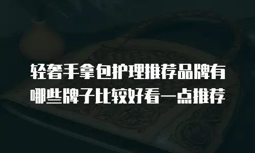 轻奢手拿包护理推荐品牌有哪些牌子比较好看一点推荐