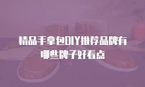 精品手拿包DIY推荐品牌有哪些牌子好看点