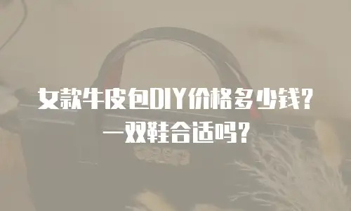女款牛皮包DIY价格多少钱？一双鞋合适吗？