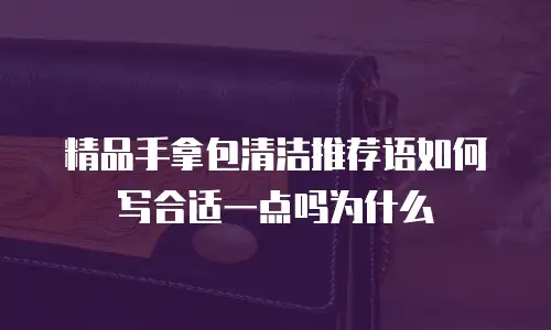 精品手拿包清洁推荐语如何写合适一点吗为什么