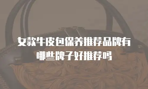 女款牛皮包保养推荐品牌有哪些牌子好推荐吗