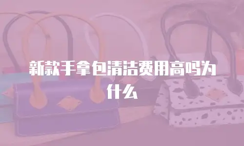 新款手拿包清洁费用高吗为什么