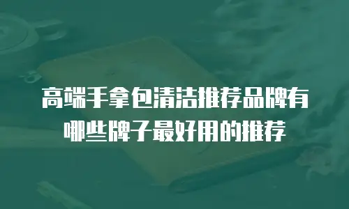 高端手拿包清洁推荐品牌有哪些牌子最好用的推荐