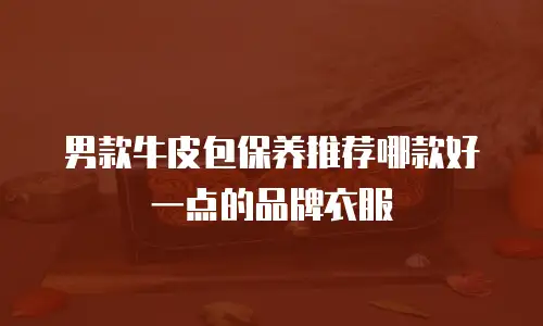 男款牛皮包保养推荐哪款好一点的品牌衣服