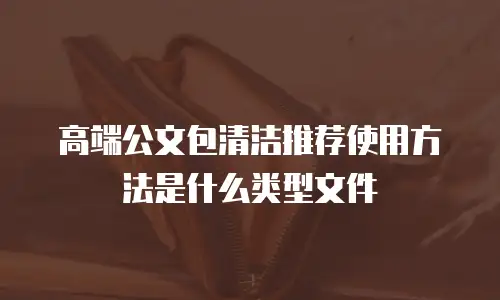 高端公文包清洁推荐使用方法是什么类型文件