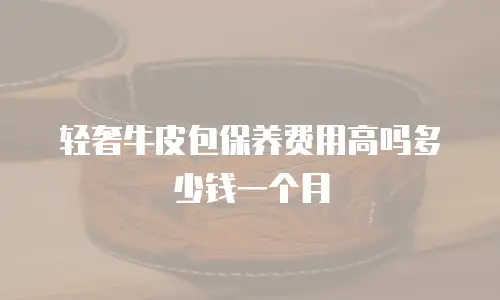 轻奢牛皮包保养费用高吗多少钱一个月