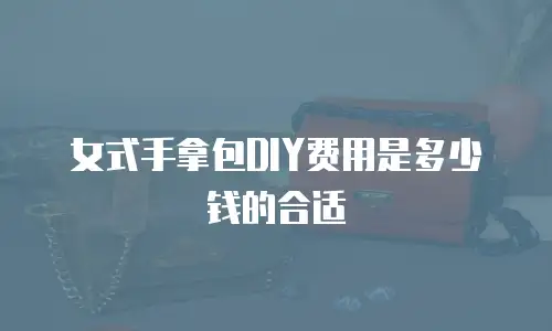女式手拿包DIY费用是多少钱的合适