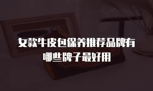 女款牛皮包保养推荐品牌有哪些牌子最好用