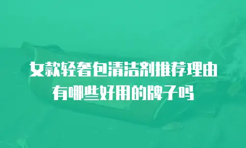 女款轻奢包清洁剂推荐理由有哪些好用的牌子吗