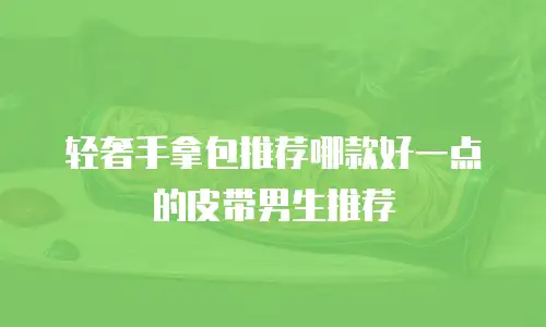 轻奢手拿包推荐哪款好一点的皮带男生推荐