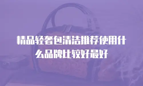 精品轻奢包清洁推荐使用什么品牌比较好最好