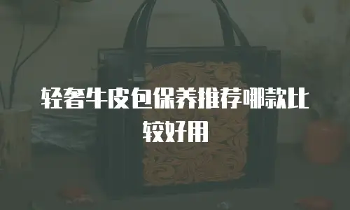 轻奢牛皮包保养推荐哪款比较好用