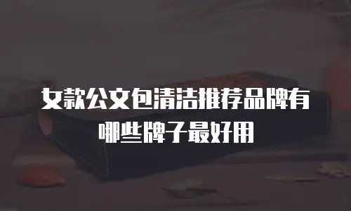 女款公文包清洁推荐品牌有哪些牌子最好用