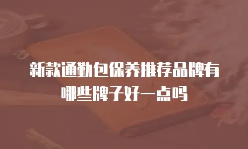 新款通勤包保养推荐品牌有哪些牌子好一点吗
