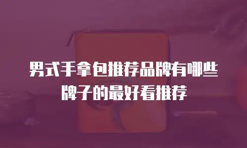 男式手拿包推荐品牌有哪些牌子的最好看推荐