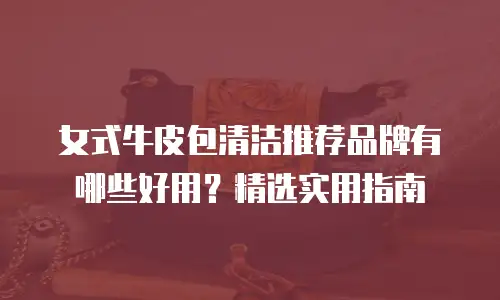 女式牛皮包清洁推荐品牌有哪些好用？精选实用指南