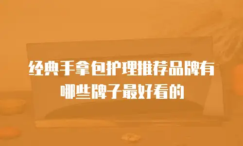 经典手拿包护理推荐品牌有哪些牌子最好看的
