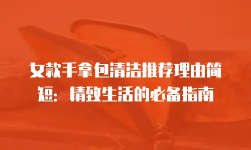 女款手拿包清洁推荐理由简短：精致生活的必备指南