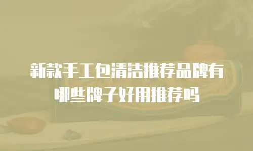 新款手工包清洁推荐品牌有哪些牌子好用推荐吗