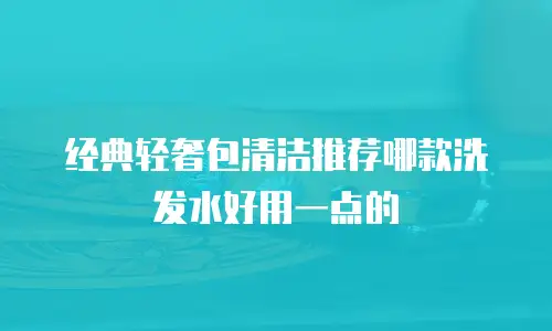 经典轻奢包清洁推荐哪款洗发水好用一点的