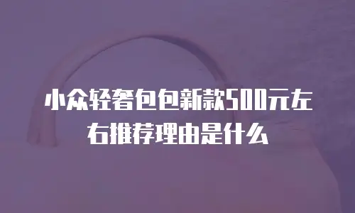 小众轻奢包包新款500元左右推荐理由是什么