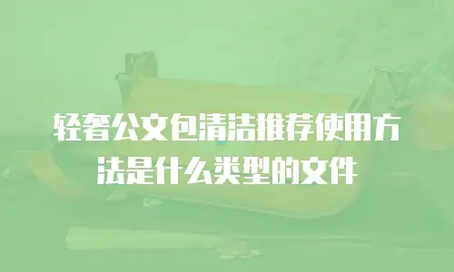 轻奢公文包清洁推荐使用方法是什么类型的文件