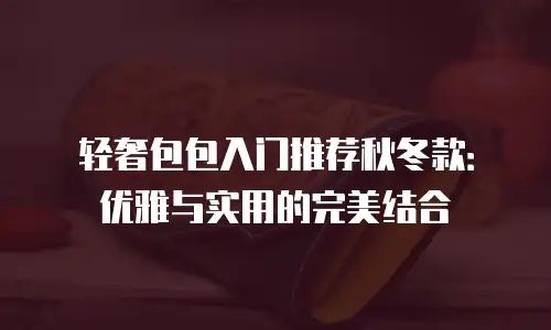 轻奢包包入门推荐秋冬款：优雅与实用的完美结合
