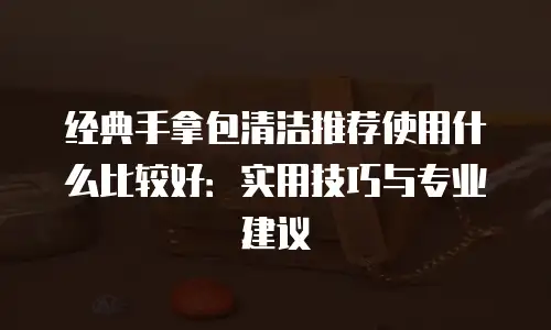 经典手拿包清洁推荐使用什么比较好：实用技巧与专业建议