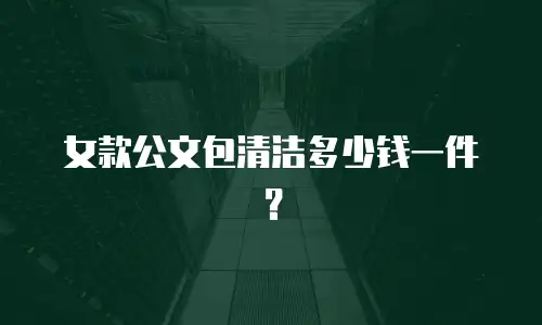 女款公文包清洁多少钱一件？
