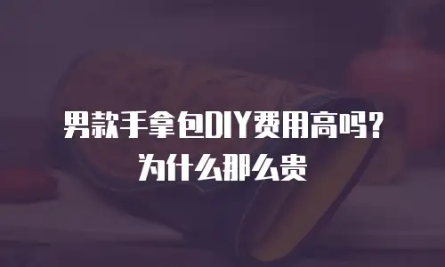 男款手拿包DIY费用高吗？为什么那么贵