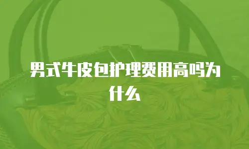 男式牛皮包护理费用高吗为什么