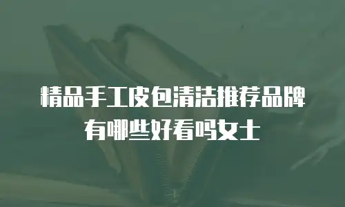 精品手工皮包清洁推荐品牌有哪些好看吗女士