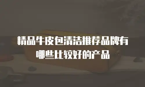 精品牛皮包清洁推荐品牌有哪些比较好的产品