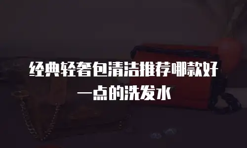 经典轻奢包清洁推荐哪款好一点的洗发水
