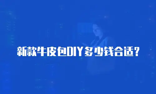 新款牛皮包DIY多少钱合适？