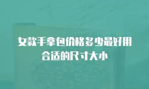 女款手拿包价格多少最好用合适的尺寸大小