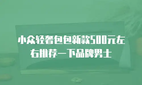 小众轻奢包包新款500元左右推荐一下品牌男士