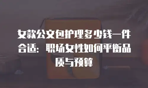 女款公文包护理多少钱一件合适：职场女性如何平衡品质与预算