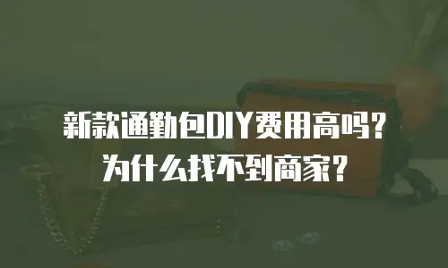 新款通勤包DIY费用高吗？为什么找不到商家？