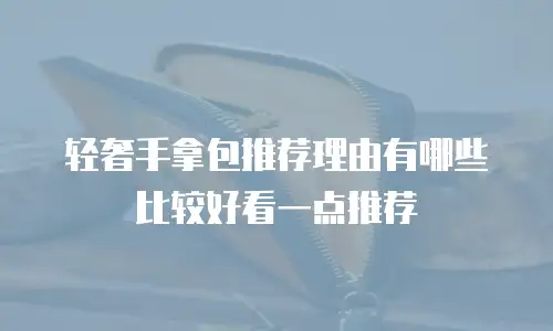 轻奢手拿包推荐理由有哪些比较好看一点推荐